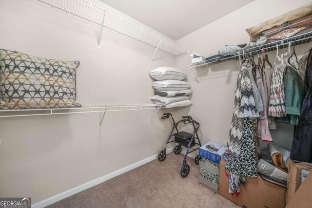 5030 Breezewood Cir, Alpharetta, GA 30004 - spacious closet with carpet flooring