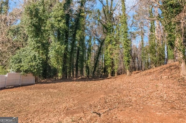 4175 Danforth, Atlanta, GA 30331 - view of yard