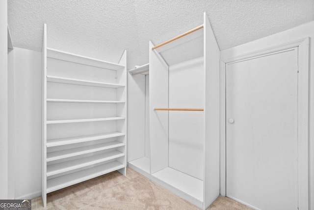 spacious closet with carpet
