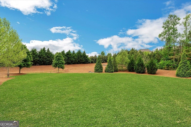 4240 Spring Rdg, Cumming, GA 30028 - view of grassy yard