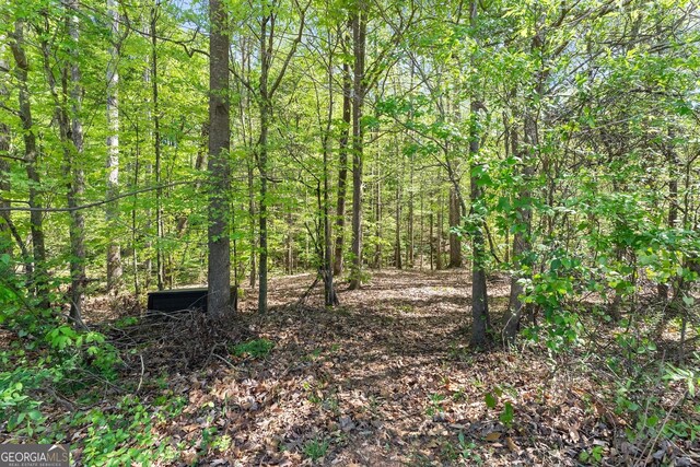 121 Hewett Rd, Pendergrass, GA 30567