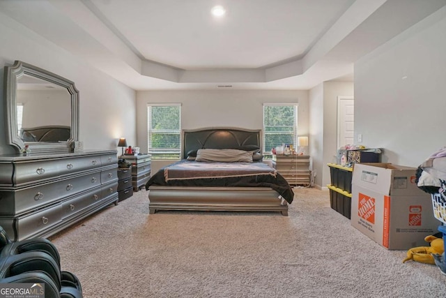 11893 Lovejoy Crossing Blvd, Hampton, GA 30228 - bedroom featuring carpet floors, multiple windows, and a tray ceiling