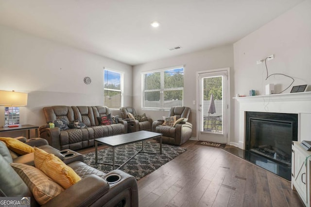 11893 Lovejoy Crossing Blvd, Hampton, GA 30228 - living room with hardwood / wood-style flooring, a glass covered fireplace, and recessed lighting