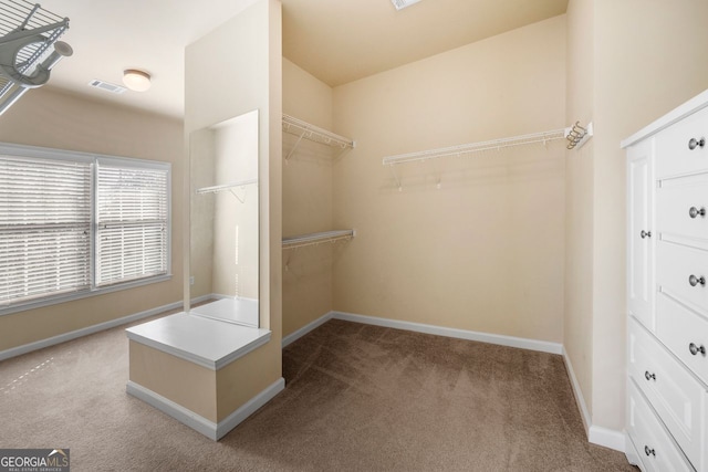spacious closet featuring carpet flooring and visible vents