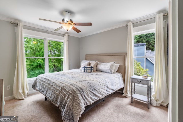 5527 Little River Cir, Gainesville, GA 30506 - carpeted bedroom featuring crown molding, a ceiling fan, and baseboards
