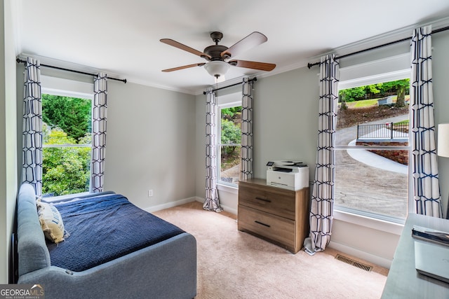 5527 Little River Cir, Gainesville, GA 30506 - living area with carpet, ornamental molding, baseboards, and a ceiling fan
