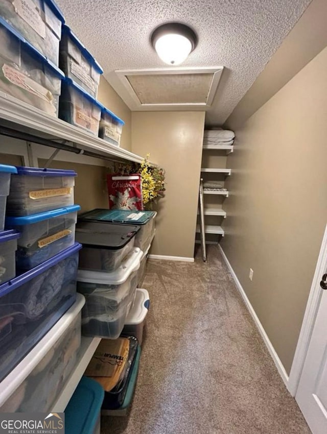 2118 Deer Run Cir, Tifton, GA 31793 - storage featuring attic access