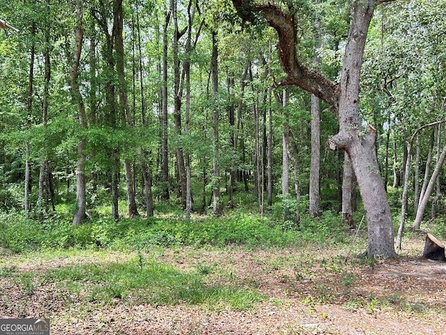 2118 Deer Run Cir, Tifton, GA 31793 - view of wooded area