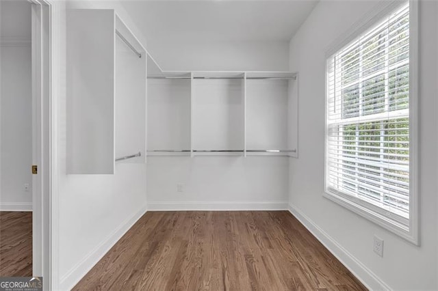 spacious closet featuring dark wood-type flooring