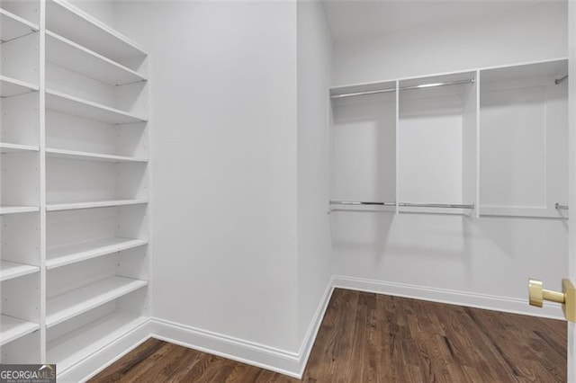 walk in closet with dark wood-style floors