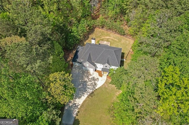 bird's eye view