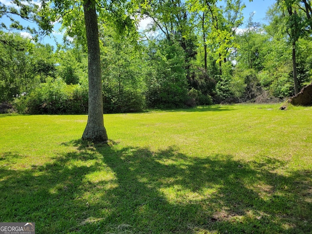 206 New Dr, Claxton, GA 30417 - view of yard