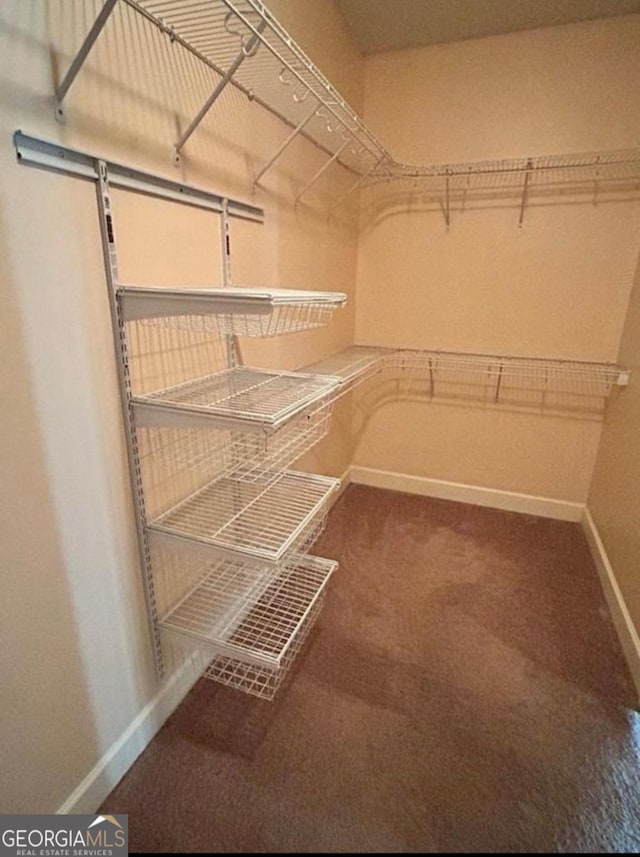 walk in closet with carpet floors