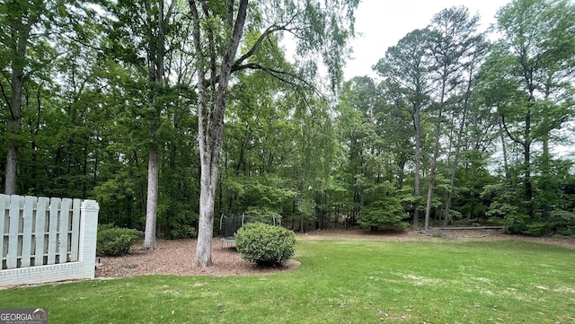 400 Peachtree Pkwy, Peachtree City, GA 30269 - view of yard
