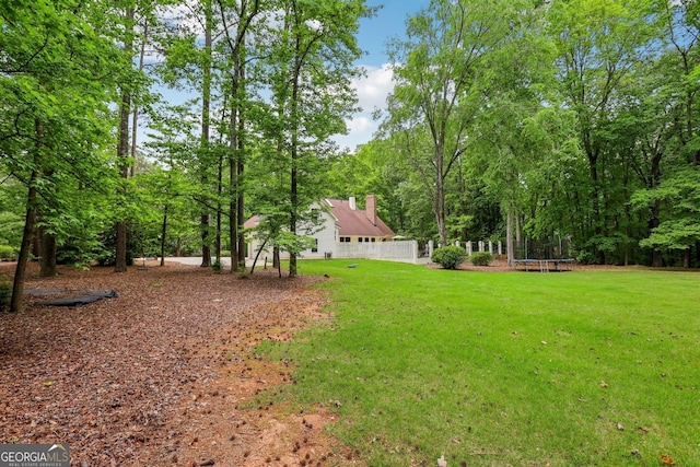 400 Peachtree Pkwy, Peachtree City, GA 30269 - view of green lawn featuring a trampoline