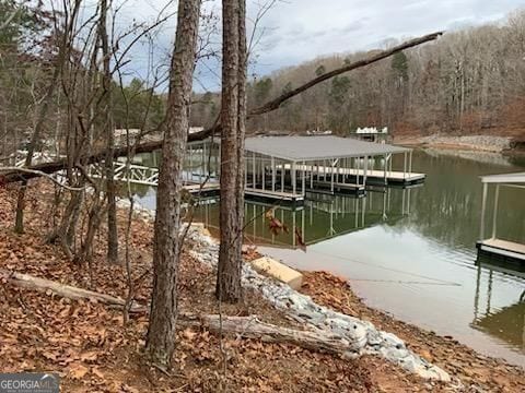 dock area with a forest view and a water view