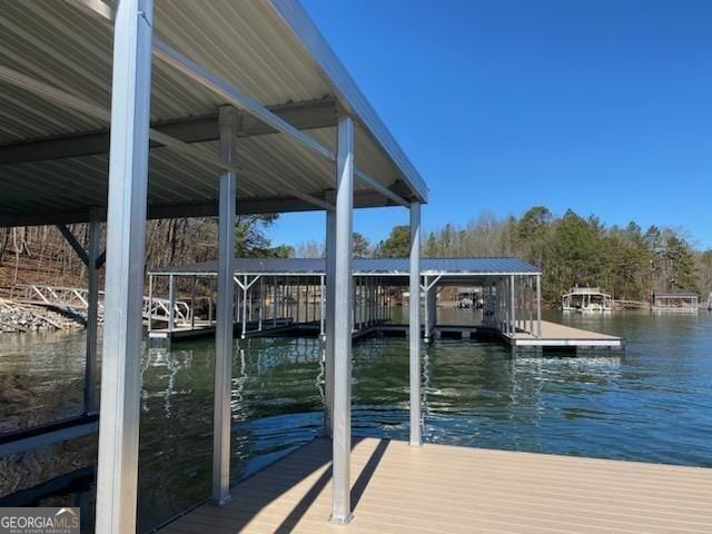 dock area with a water view