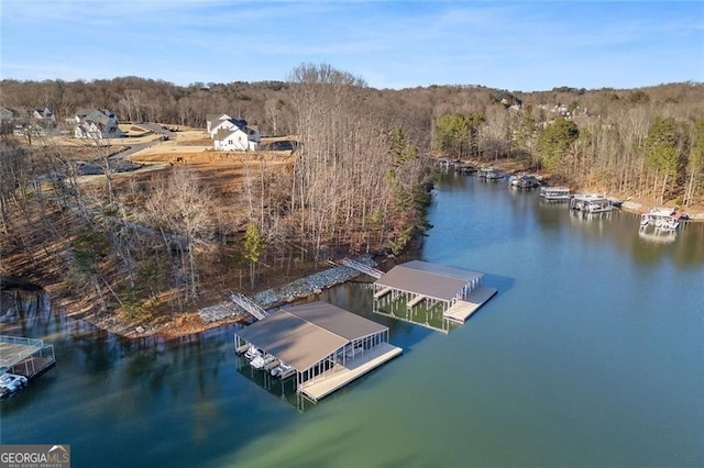 drone / aerial view with a view of trees and a water view