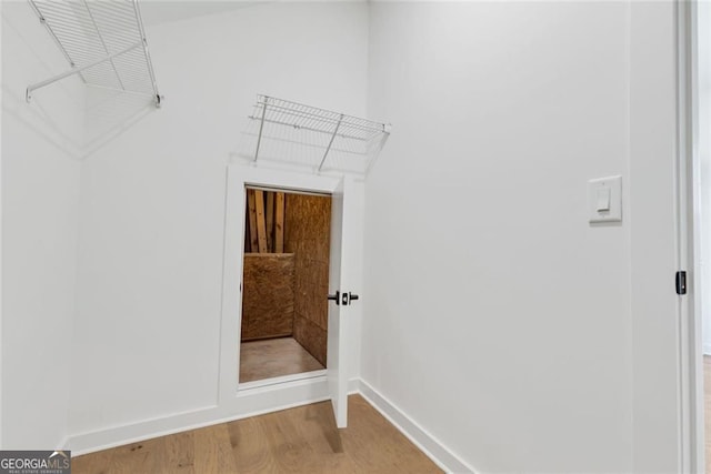 walk in closet featuring wood finished floors