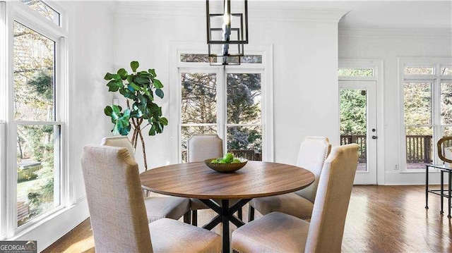 dining space with crown molding, wood finished floors, and plenty of natural light