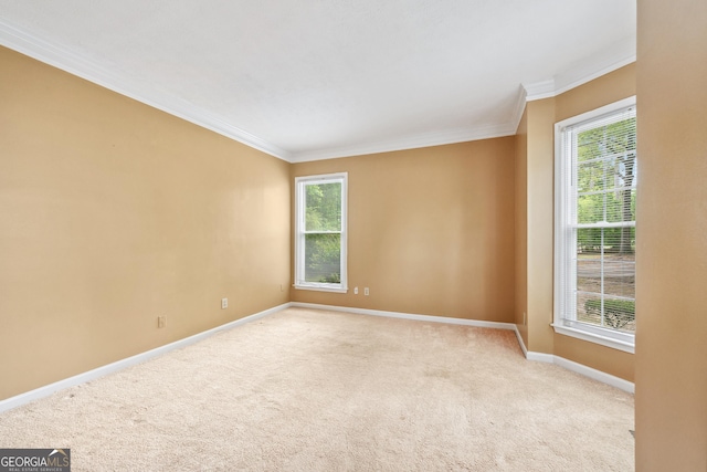 10044 Point View Dr, Jonesboro, GA 30238 - carpeted empty room with crown molding, baseboards, and a wealth of natural light