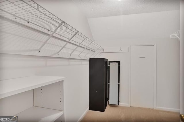 spacious closet featuring carpet floors