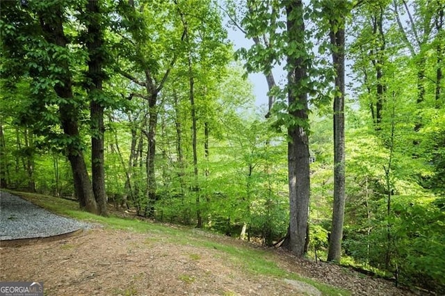 view of landscape featuring a forest view