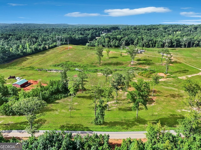 aerial view with a forest view