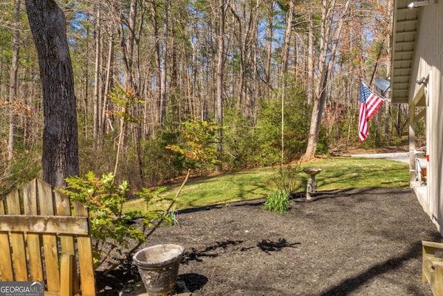 84 Weatherly Rd, Clarkesville, GA 30523 - view of yard