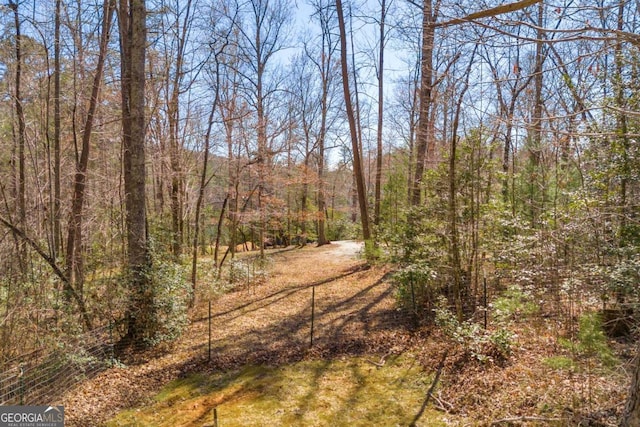 84 Weatherly Rd, Clarkesville, GA 30523 - view of nature with a view of trees