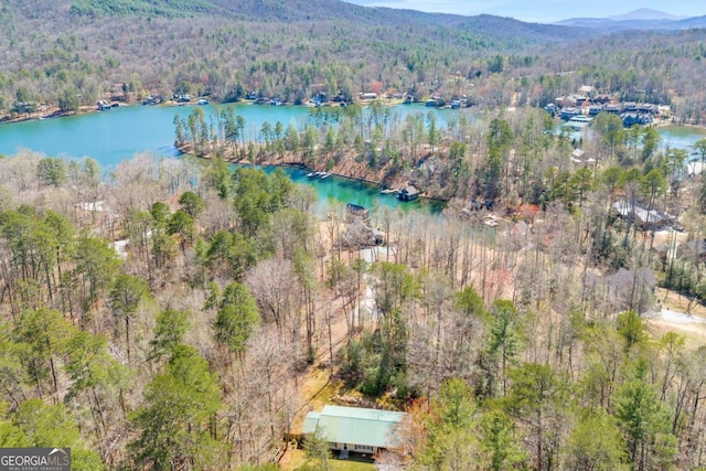 84 Weatherly Rd, Clarkesville, GA 30523 - bird's eye view featuring a water and mountain view and a forest view