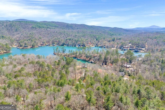 84 Weatherly Rd, Clarkesville, GA 30523 - drone / aerial view with a water and mountain view and a wooded view