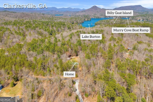 84 Weatherly Rd, Clarkesville, GA 30523 - drone / aerial view with a view of trees and a water and mountain view