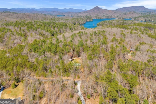 84 Weatherly Rd, Clarkesville, GA 30523 - birds eye view of property featuring a forest view and a water and mountain view