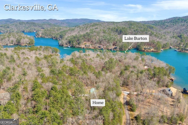 84 Weatherly Rd, Clarkesville, GA 30523 - bird's eye view with a forest view and a water and mountain view