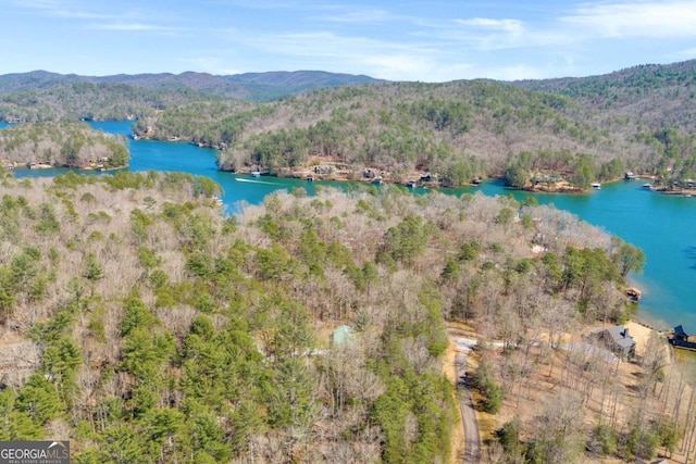 84 Weatherly Rd, Clarkesville, GA 30523 - aerial view with a view of trees and a water and mountain view