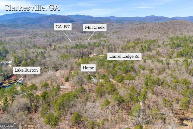 84 Weatherly Rd, Clarkesville, GA 30523 - property view of mountains with a wooded view