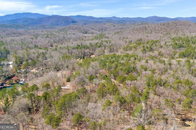 84 Weatherly Rd, Clarkesville, GA 30523 - mountain view with a forest view