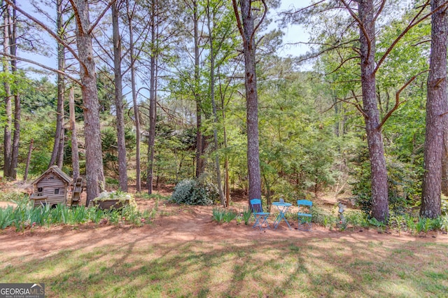 3095 Willow Park Dr, Dacula, GA 30019 - view of yard with a wooded view