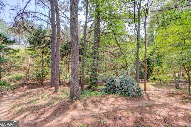 3095 Willow Park Dr, Dacula, GA 30019 - view of landscape with a wooded view