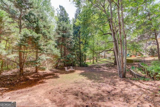 3095 Willow Park Dr, Dacula, GA 30019 - view of yard