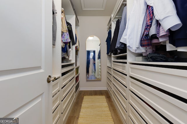 walk in closet featuring light wood-type flooring