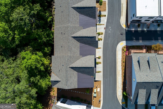 bird's eye view