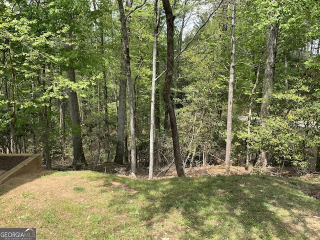 426 Shenendoa Dr, Ellijay, GA 30540 - view of woods