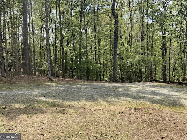 426 Shenendoa Dr, Ellijay, GA 30540 - view of wooded area