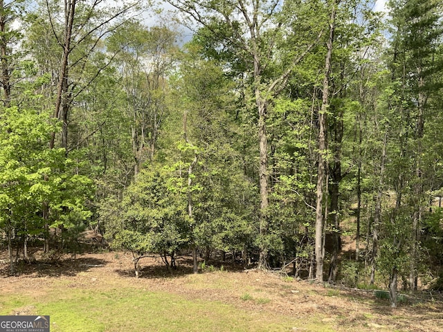 426 Shenendoa Dr, Ellijay, GA 30540 - view of woods