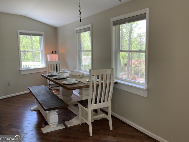 426 Shenendoa Dr, Ellijay, GA 30540 - dining space featuring lofted ceiling and wood finished floors