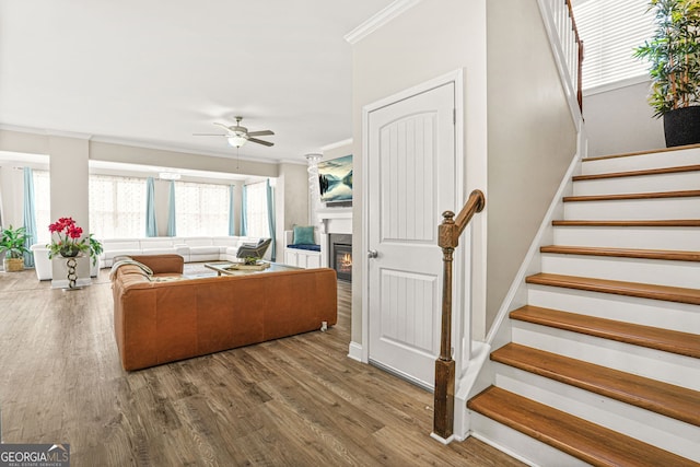 living area featuring wood finished floors, stairway, ceiling fan, and crown molding