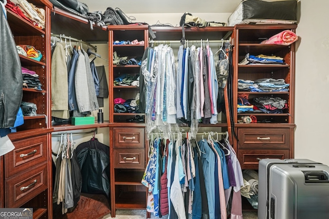 view of walk in closet