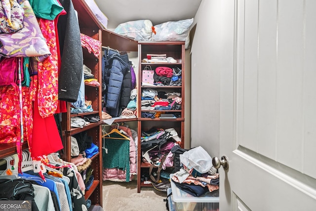 walk in closet with carpet floors